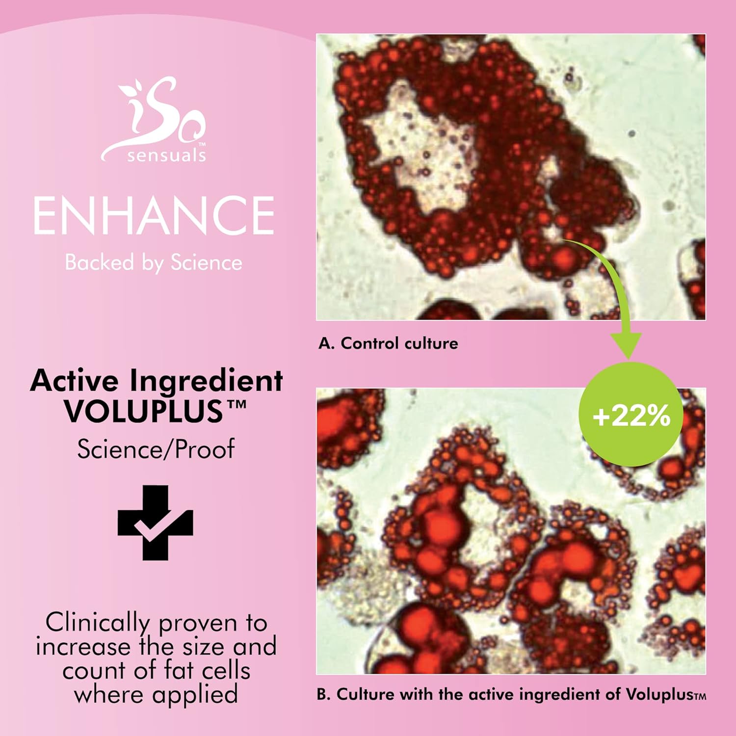 IsoSensuals ENHANCE Bust Cream