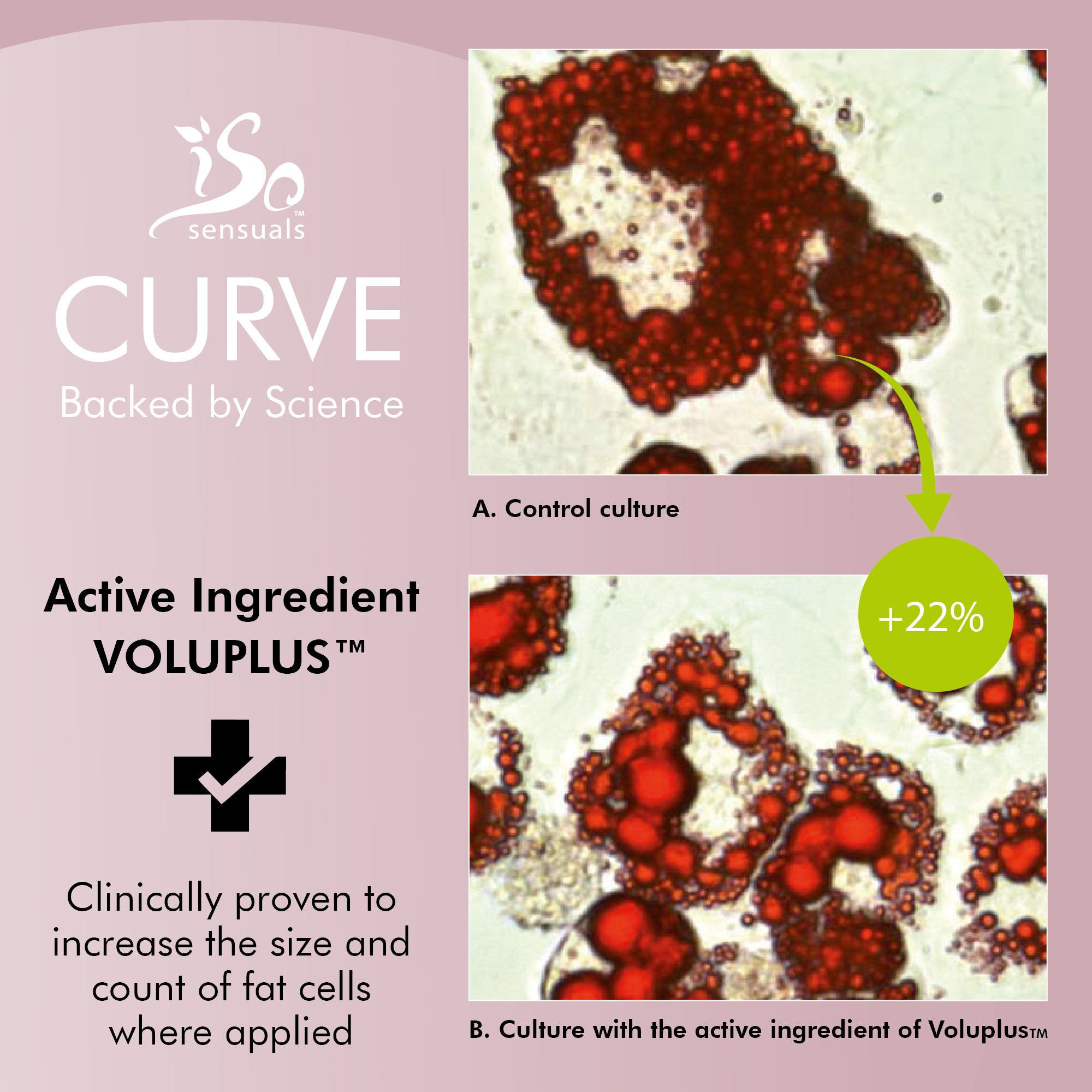 IsoSensuals CURVE Bum Cream
