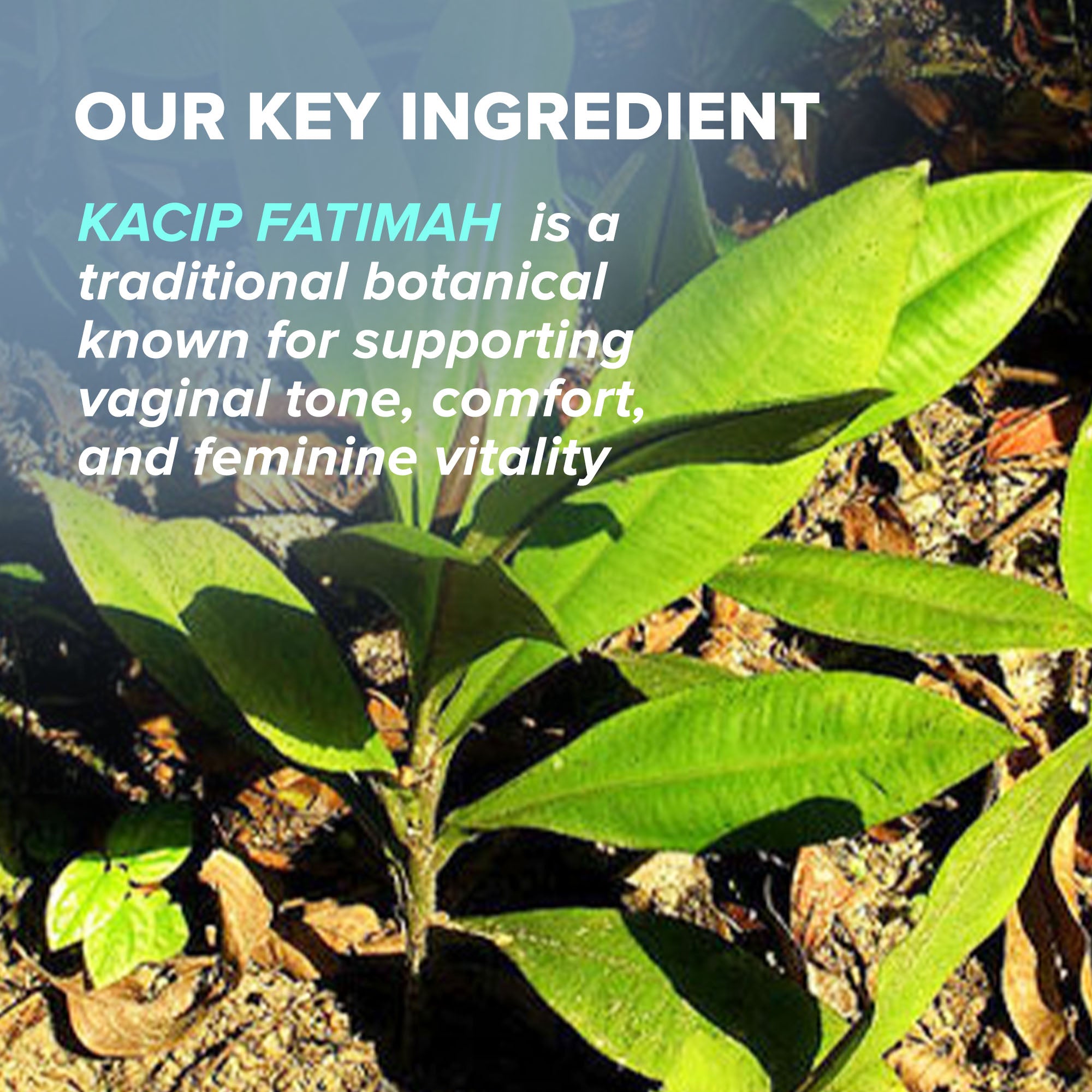 IsoSensuals TIGHT Tightening Pills